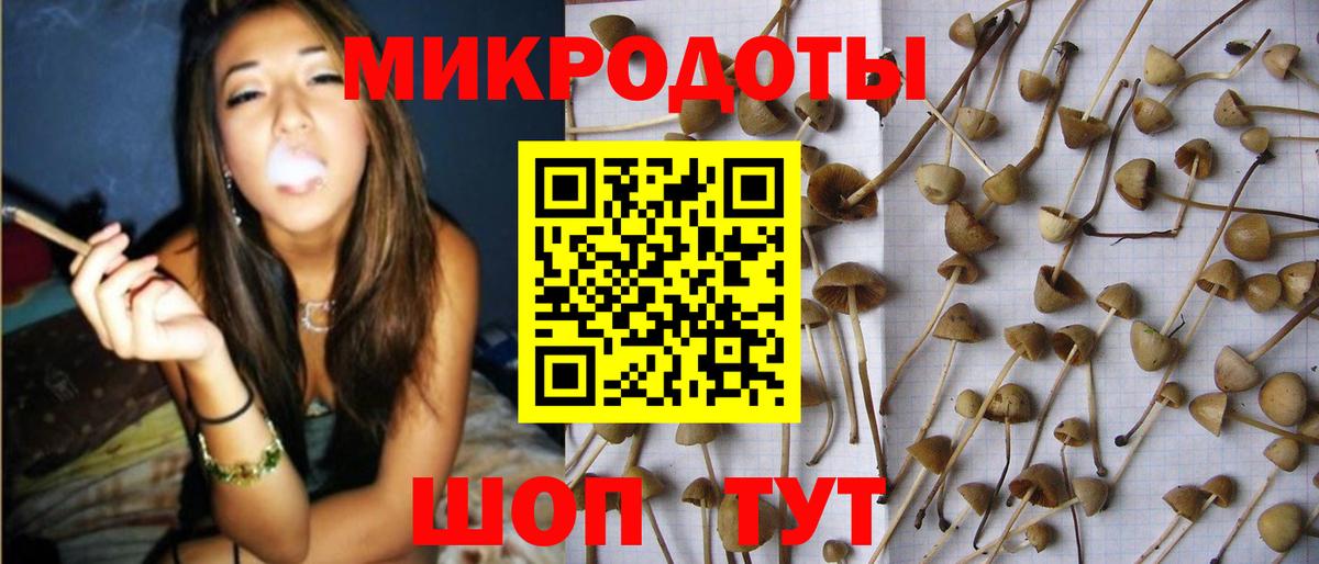 Мичуринск  Галлюциногенные грибы Psilocybe  Вход с VPN  Псилоцибиновые грибы прущие грибы 